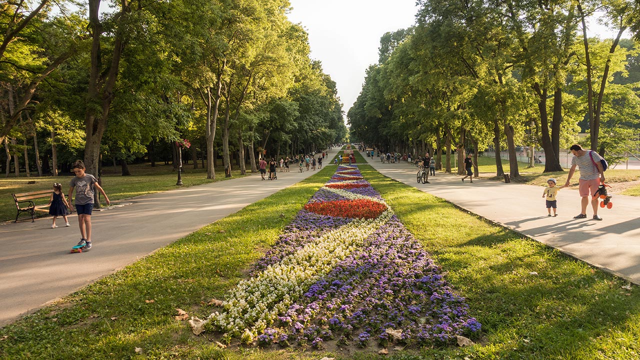 Sea Garden
